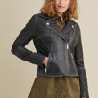 Leather Moto Jacket