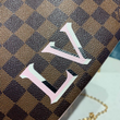 LV Double Zip Pochette Damier Ebene LV Print