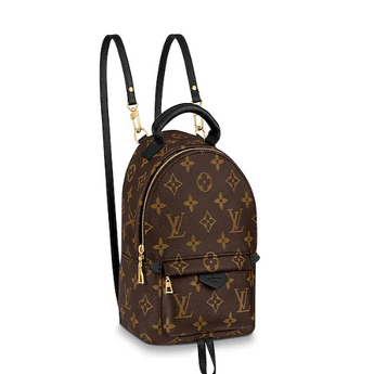 LV Palm Springs Backpack Mini Monogram