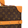 LV Soft Trunk Backpack MM