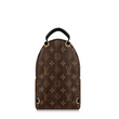 LV Palm Springs Backpack Mini Monogram